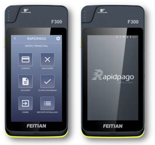 Terminal F300